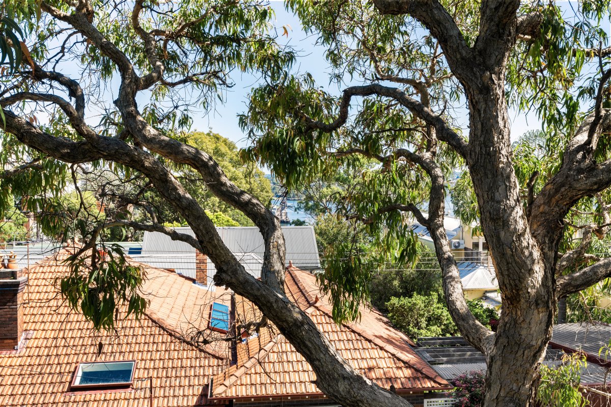 Top Floor With Views Towards Parramatta River